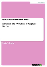Cover Formation and Properties of Magnetic Biochar