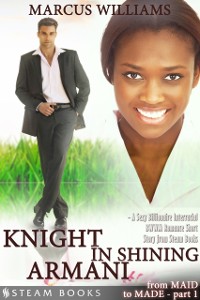Cover Knight in Shining Armani - A Sexy Billionaire Interracial BWWM Romance Short Story from Steam Books