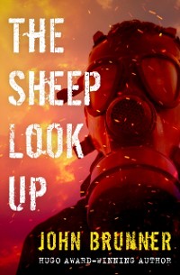 Cover Sheep Look Up