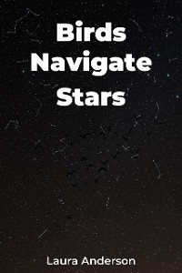 Cover Birds Navigate Stars