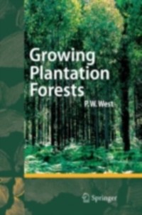 Cover Growing Plantation Forests