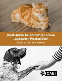 Cover Small Animal Neuroanatomic Lesion Localization Practice Book