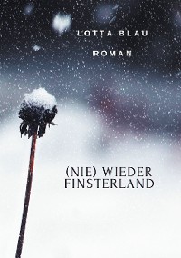 Cover (Nie) Wieder Finsterland