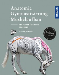 Cover Anatomie, Gymnastizierung, Muskelaufbau