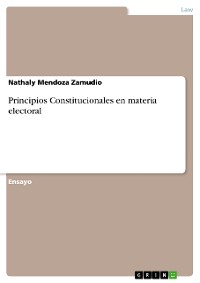 Cover Principios Constitucionales en materia electoral