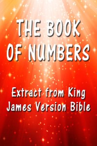 Cover The Book of Numbers