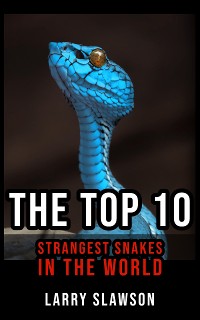 Cover The Top 10 Strangest Snakes in the World