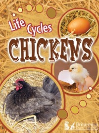 Cover Chickens