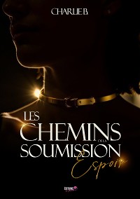 Cover Les chemins de la soumission