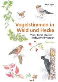 Cover Vogelstimmen in Wald und Hecke