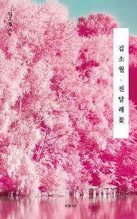 Cover 김소월, 진달래꽃