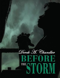 Cover Before The Storm