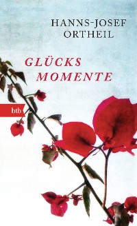 Cover Glücksmomente