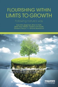 Cover Flourishing Within Limits to Growth
