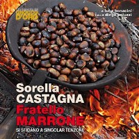 Cover Sorella castagna Fratello marrone