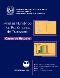 Cover Análisis numérico en fenómenos de transporte. Casos de estudio