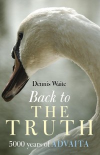 Cover Back To The Truth