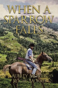 Cover When a Sparrow Falls