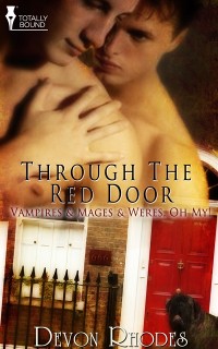 Cover Through the Red Door