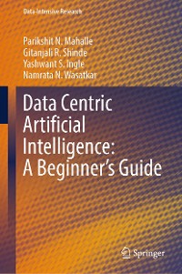 Cover Data Centric Artificial Intelligence: A Beginner’s Guide