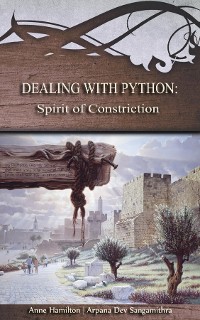 Cover Dealing with Python: Spirit of Constriction