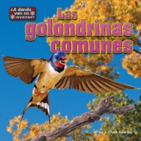 Cover Las golondrinas comunes (barn swallows)