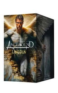 Cover Lincoln Box Set