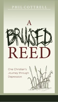 Cover Bruised Reed