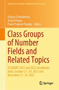 Cover Class Groups of Number Fields and Related Topics