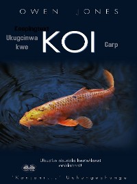 Cover Ukugcinwa Kwe Koi Carp