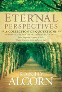 Cover Eternal Perspectives