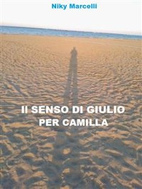 Cover Il senso di Giulio per Camilla
