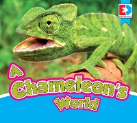 Cover A Chameleon’s World