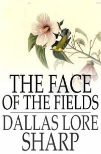 Cover Face of the Fields