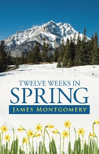 Cover Twelve Weeks in Spring