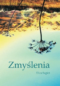 Cover Zmyślenia