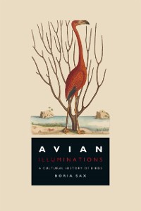 Cover Avian Illuminations