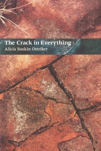 Cover Crack In Everything