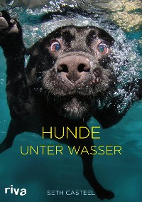 Cover Hunde unter Wasser