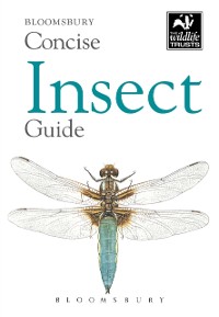 Cover Concise Insect Guide