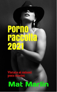 Cover Porno raccolta 2021