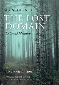 Cover Lost Domain