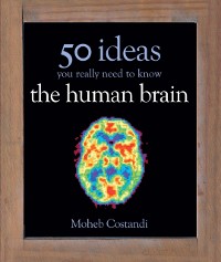 Cover 50 Human Brain Ideas You Really Need to Know