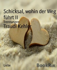 Cover Schicksal, wohin der Weg führt II