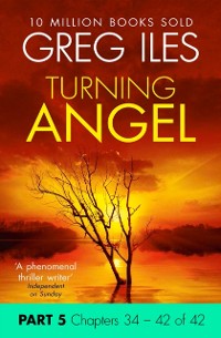Cover TURNING ANGEL PART 5 CHAPTE EB