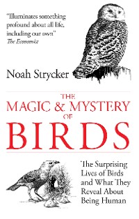 Cover The Magic & Mystery of Birds