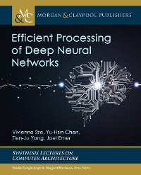 Cover Efficient Processing of Deep Neural Networks