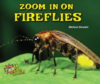 Cover Zoom in on Fireflies