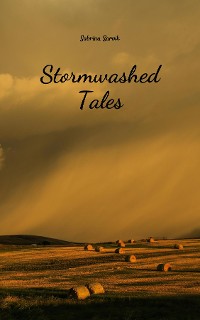 Cover Stormwashed Tales