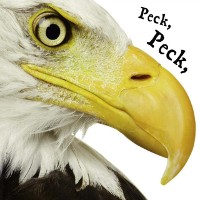 Cover Peck Peck Peck